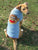 Sock Monkey Dog Sweater