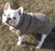 Cable Knit Dog Sweater